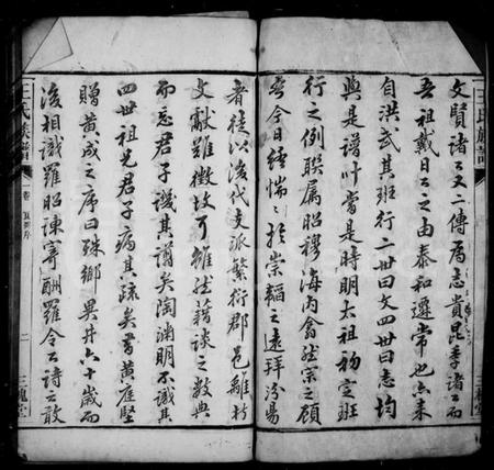 湖南王氏族谱-高仓王氏族谱 [10卷].pdf电子版预览图5