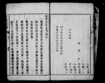 湖南王氏族谱-宁乡乌石王氏支谱 [8卷].pdf电子版预览图1