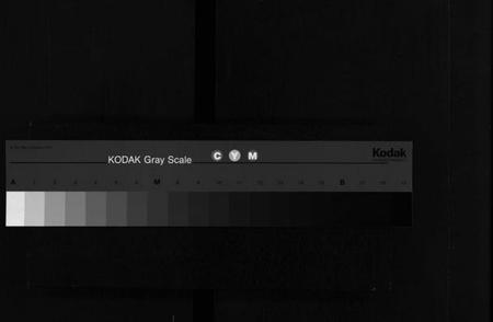 湖南王氏族谱-东湖王氏族谱 [不分卷].pdf电子版缩略图