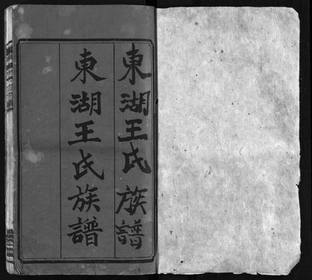 湖南王氏族谱-东湖王氏族谱 [不分卷].pdf电子版预览图2