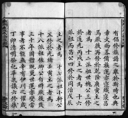 湖南王氏族谱-东湖王氏族谱 [不分卷].pdf电子版预览图4