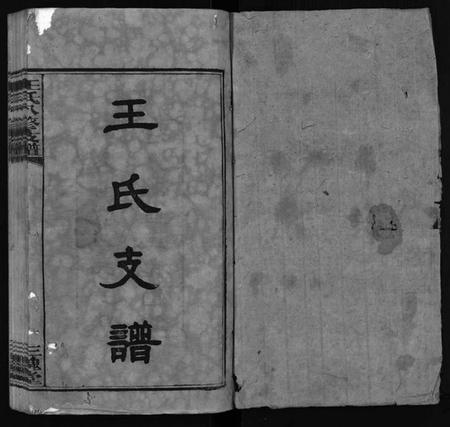 湖南王氏族谱-沩宁王氏八修支谱 [10卷].pdf电子版预览图2