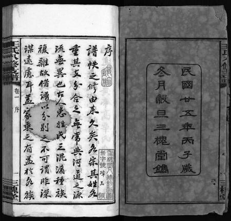 湖南王氏族谱-沩宁王氏八修支谱 [10卷].pdf电子版预览图3