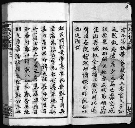 湖南王氏族谱-沩宁王氏八修支谱 [10卷].pdf电子版预览图4