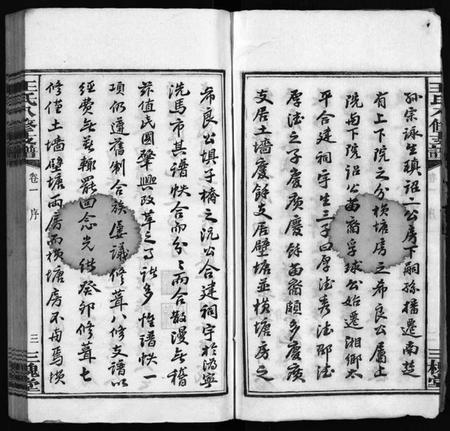 湖南王氏族谱-沩宁王氏八修支谱 [10卷].pdf电子版预览图5