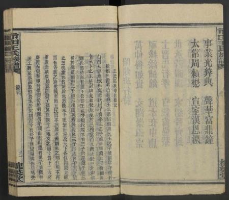 湖南王氏族谱-市田王氏八修族谱 [总卷数不详].pdf电子版预览图3