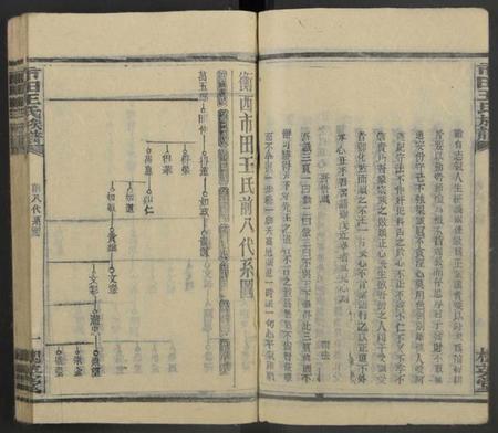 湖南王氏族谱-市田王氏八修族谱 [总卷数不详].pdf电子版预览图5