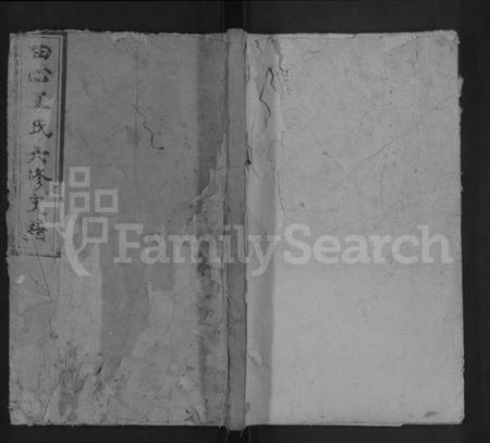 湖南王氏族谱-田心王氏六修支谱.pdf电子版缩略图