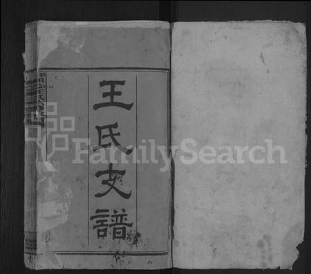 湖南王氏族谱-田心王氏六修支谱.pdf电子版预览图1