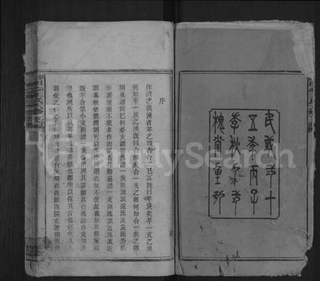 湖南王氏族谱-田心王氏六修支谱.pdf电子版预览图2