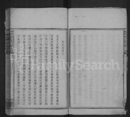 湖南王氏族谱-田心王氏六修支谱.pdf电子版预览图5