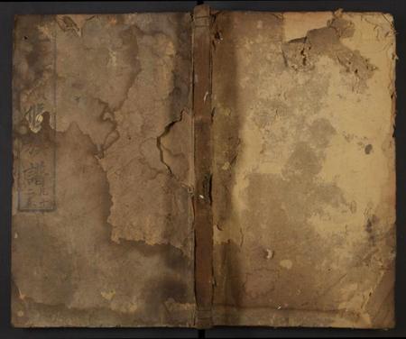 湖南王氏族谱-邵陵王氏续修族谱 [残卷].pdf电子版缩略图