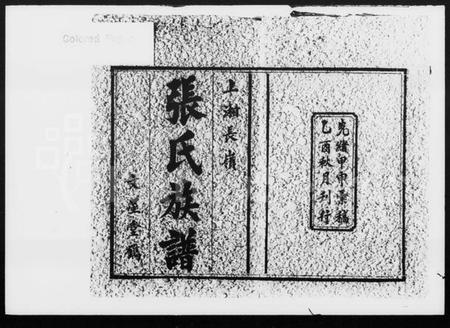 湖南张氏王氏族谱-上湘长岭张氏族谱 [14卷,首1卷].pdf电子版预览图2