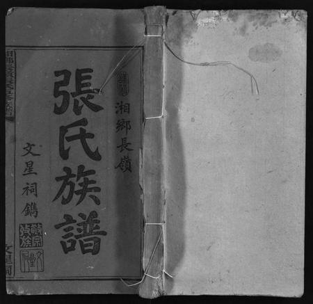 湖南张氏王氏族谱-湘乡长岭张氏族谱 [12卷].pdf电子版预览图1