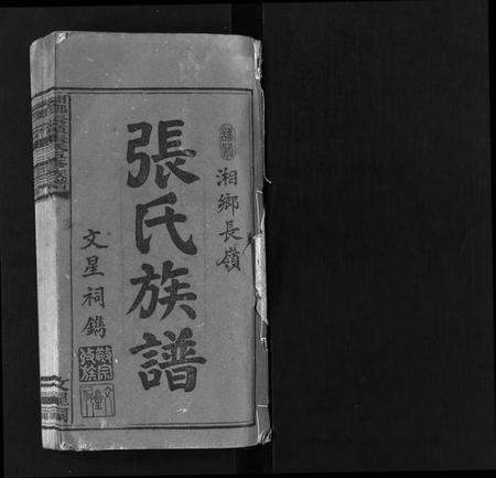 湖南张氏王氏族谱-湘乡长岭张氏族谱 [12卷].pdf电子版预览图2