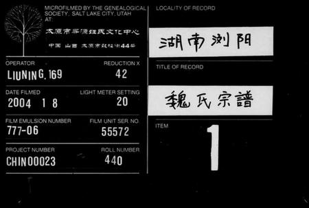 湖南魏氏族谱-魏氏宗谱 [12卷,首2卷].pdf电子版