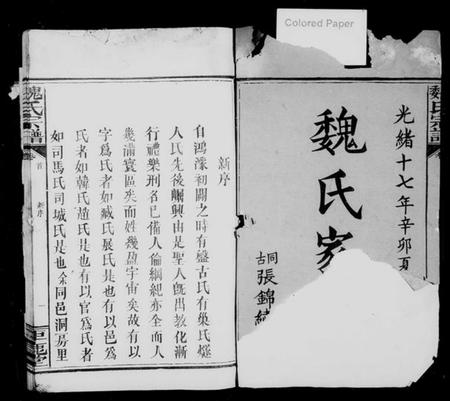 湖南魏氏族谱-魏氏宗谱 [12卷,首2卷].pdf电子版预览图2