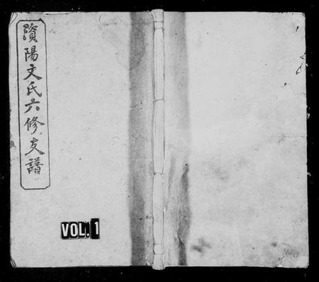 湖南文氏族谱-资阳文氏六修支谱 [8卷,首末各1卷].pdf电子版预览图1