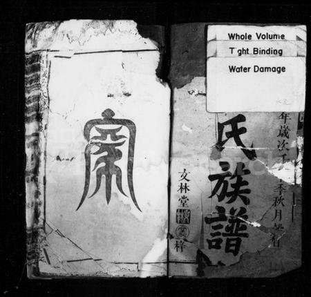 江西梁氏族谱-梁氏族谱 [4卷,首末各1卷].pdf电子版预览图2