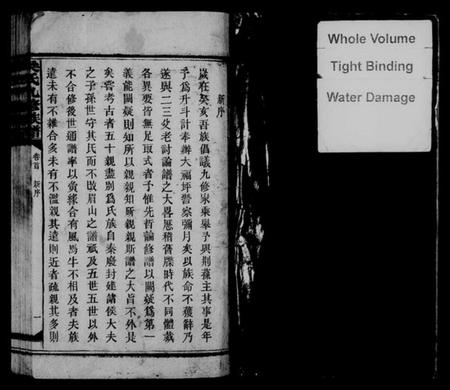 湖南吴氏族谱-吴氏九修族谱 [20卷,含卷首].pdf电子版预览图3