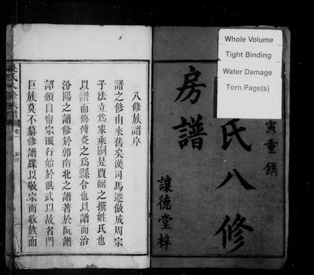 湖南吴氏族谱-吴氏八修族谱 [9卷].pdf电子版预览图3