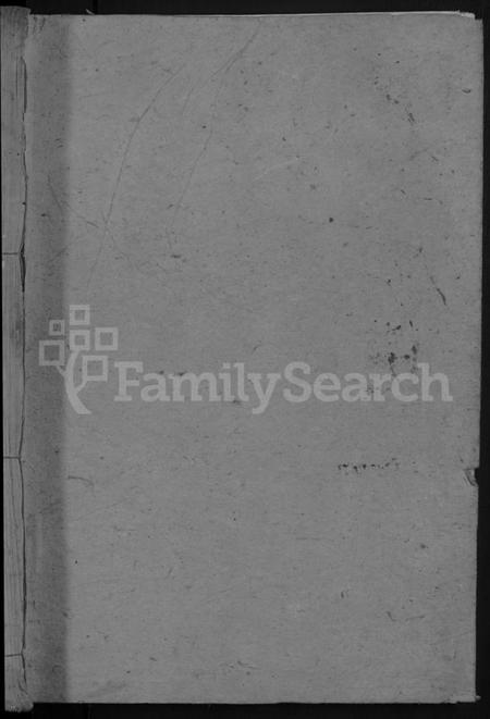 湖南吴氏族谱-吴氏大同族谱 [不分卷].pdf电子版预览图1