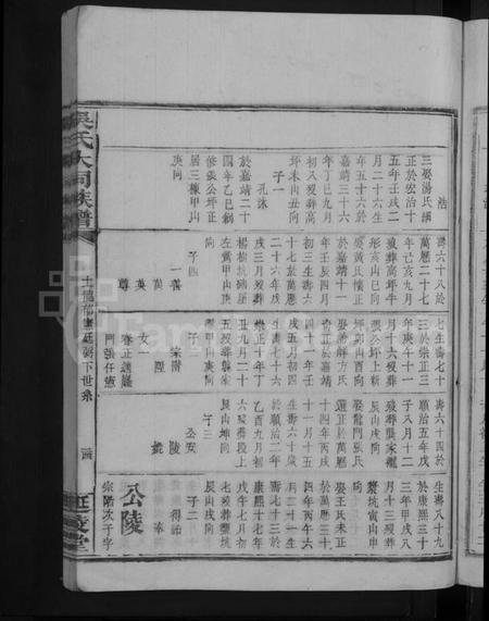 湖南吴氏族谱-吴氏大同族谱 [不分卷].pdf电子版预览图5