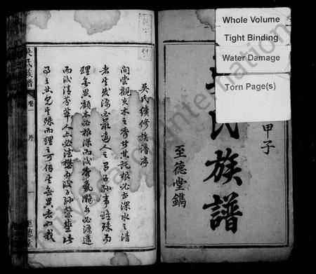 湖南吴氏族谱-吴氏族谱 [10卷].pdf电子版预览图3