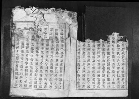 江西廖氏族谱-清河廖氏族谱[1册].pdf电子版预览图2