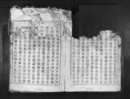 江西廖氏族谱-清河廖氏族谱[1册].pdf电子版预览图3