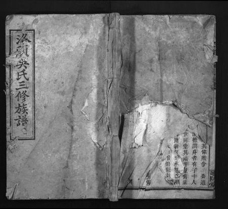 湖南吴氏族谱-洛头吴氏三修族谱 [12卷].pdf电子版缩略图