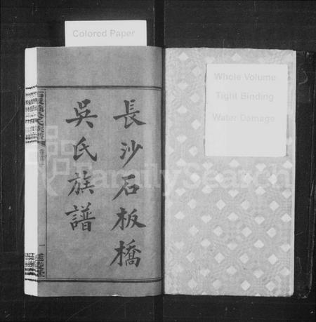 湖南吴氏族谱-长沙石板桥吴氏族谱 [20卷,首6卷].pdf电子版预览图2