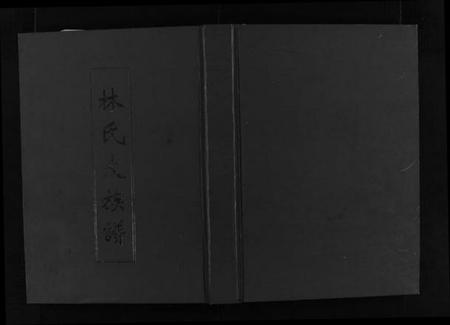 广东、福建林氏族谱-林氏大族谱 [不分卷].pdf电子版缩略图