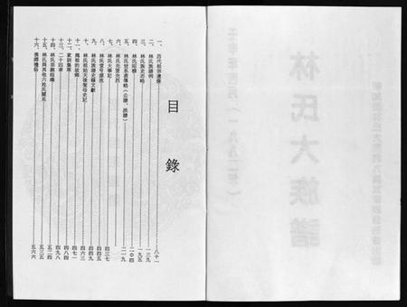 广东、福建林氏族谱-林氏大族谱 [不分卷].pdf电子版预览图2