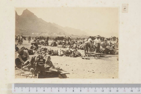 《青岛攻城战写真帖》1914年 影集下载预览图2