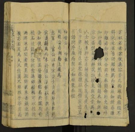 湖南吴氏族谱-桂东龙溪吴氏四修族谱 [4卷].pdf电子版预览图4