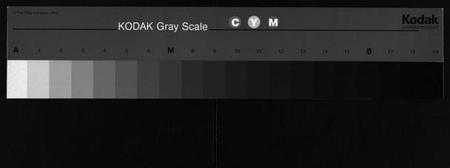 湖南吴氏族谱-吴氏族谱 [卷数不详].pdf电子版缩略图