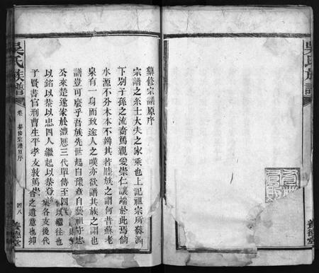 湖南吴氏族谱-吴氏族谱 [卷数不详].pdf电子版预览图5