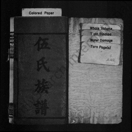 湖南伍氏族谱-伍氏族谱 [22卷,首4卷].pdf电子版预览图2