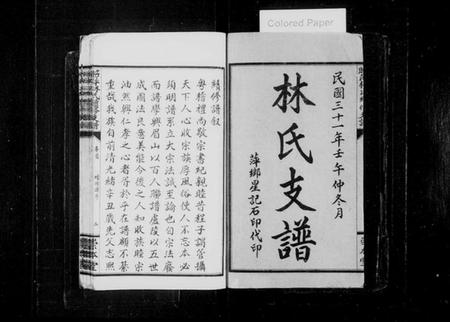 江西林氏族谱-昭萍林氏续修支谱 [10卷含卷首,末1卷].pdf电子版预览图2
