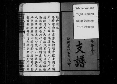 江西林氏族谱-昭萍林氏续修支谱 [10卷含卷首,末1卷].pdf电子版预览图3