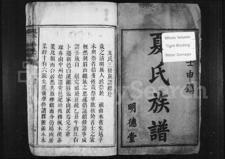 湖南夏氏族谱-夏氏三修族谱.pdf电子版预览图3