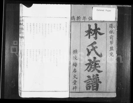 江西林氏族谱-林氏族谱.pdf电子版预览图2