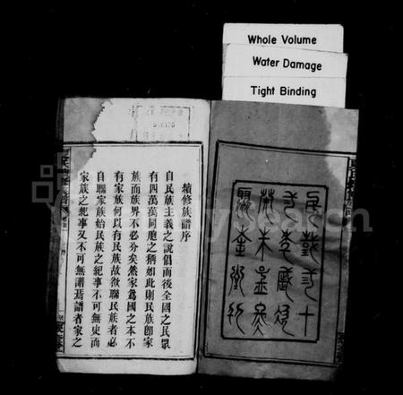 湖南夏氏族谱-夏氏续修族谱 [10卷,首1卷].pdf电子版预览图4