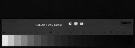 湖南向氏族谱-向氏三修族谱 [14卷,首1卷].pdf电子版缩略图