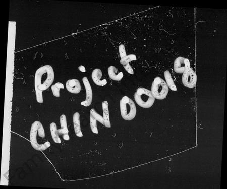 湖南向氏族谱-向氏五修族谱 [4卷,及卷首].pdf电子版预览图1