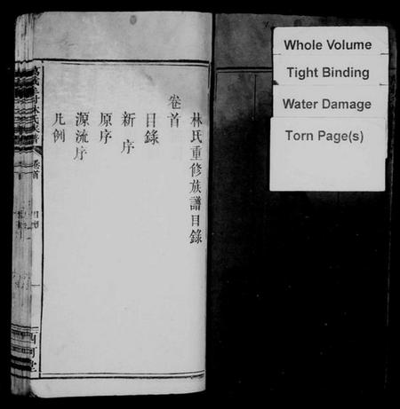 江西林氏族谱-万载牟村林氏族谱 [4卷,首1卷].pdf电子版预览图2