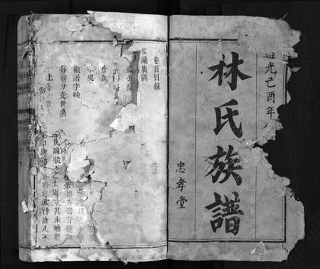 江西林氏族谱-袁郡学前林氏族谱 [12卷,首1卷].pdf电子版预览图2