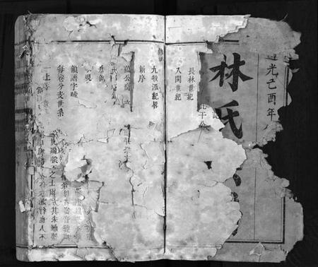 江西林氏族谱-袁郡学前林氏族谱 [12卷,首1卷].pdf电子版预览图3