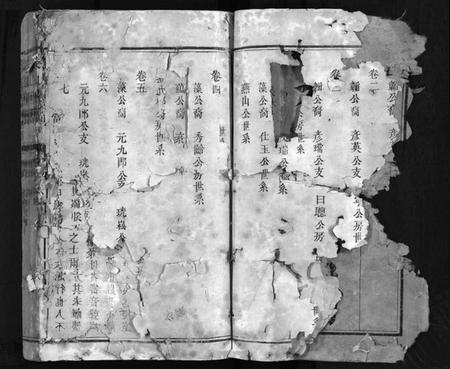 江西林氏族谱-袁郡学前林氏族谱 [12卷,首1卷].pdf电子版预览图4